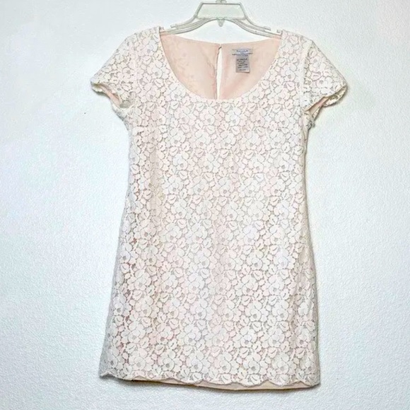 Aritzia Talula OJI White Lace Mini Dress Sz. Small - Picture 2 of 9